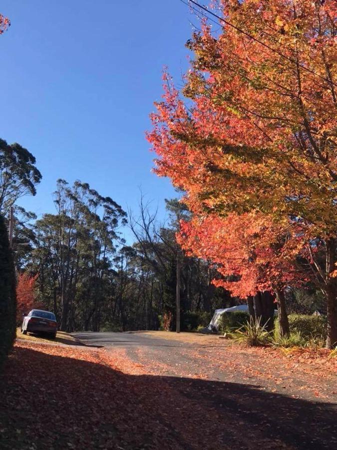 Newly Built - Blue On Albion Villa Katoomba Esterno foto